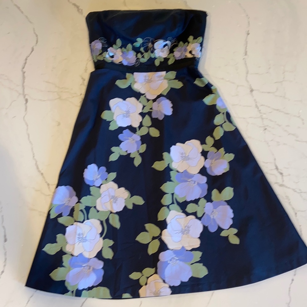 Ann Taylor Strapless Dress Size 0